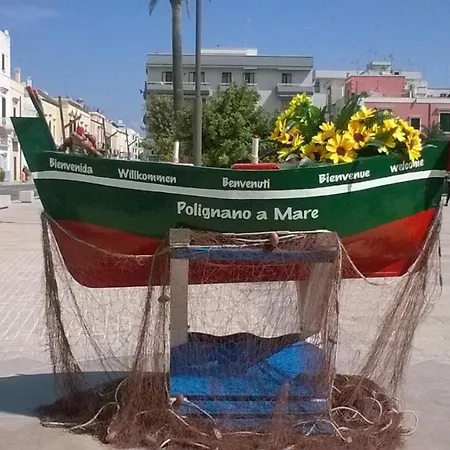 Amare Il Mare