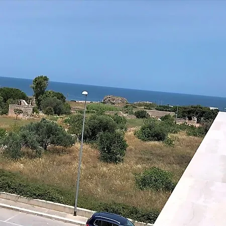 Amare Il Mare